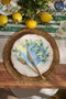 Hermia Sunny Grove Juego de Cena de Porcelana 24 Piezas